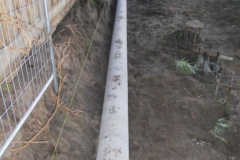 DSCN1791